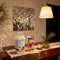 Silver + DIY Paint Set